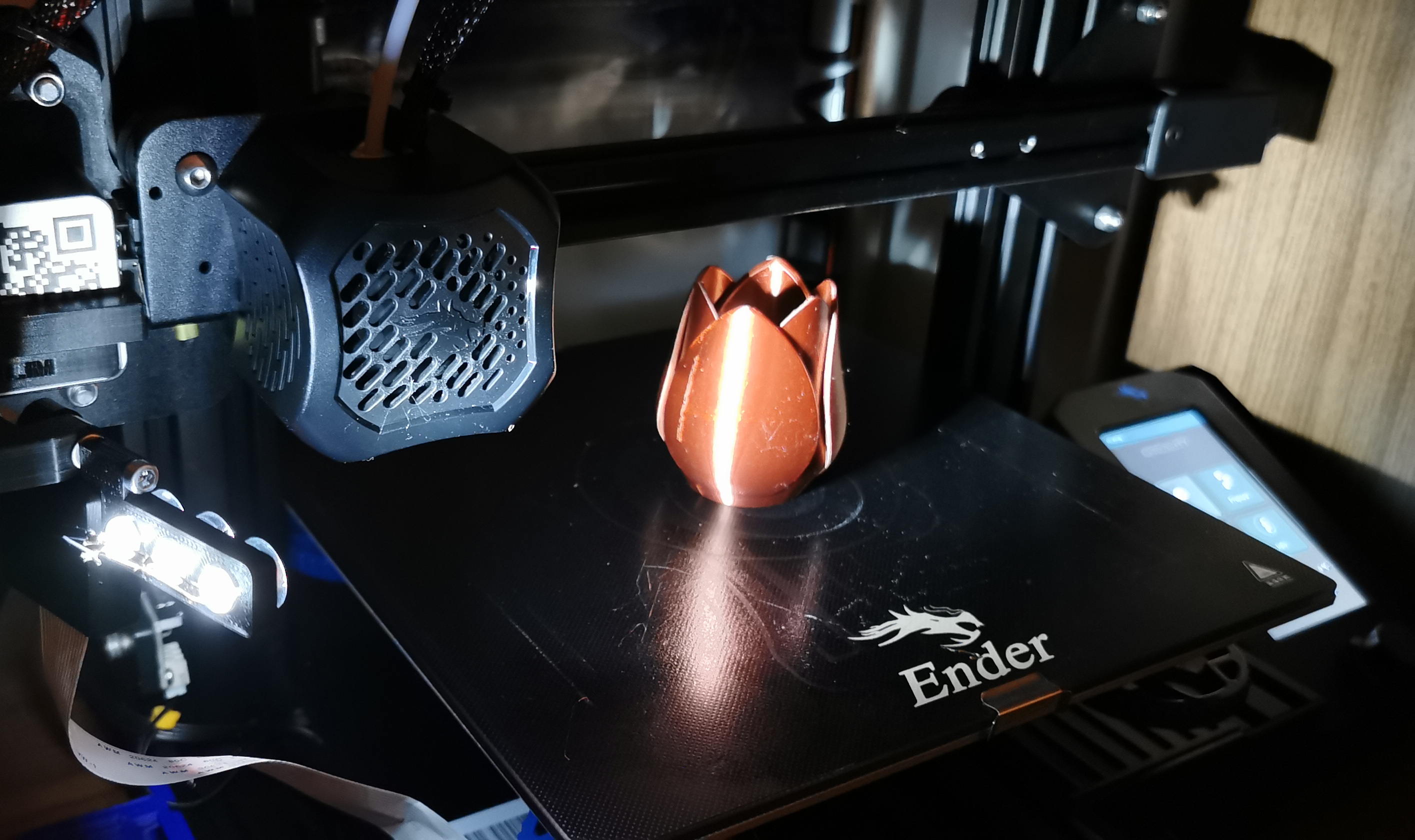 IMG 20211008 192507 cr